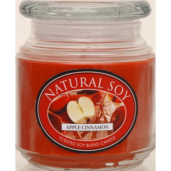 Hanna's Candles Natural Soy Scented Soy Candle Apple Cinnamon