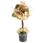 Grace Designs Cream and Brown Hydrangea Topiary