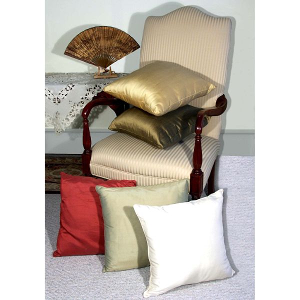 Ricardo Dupioni Silk 18" x 18" dec pillow