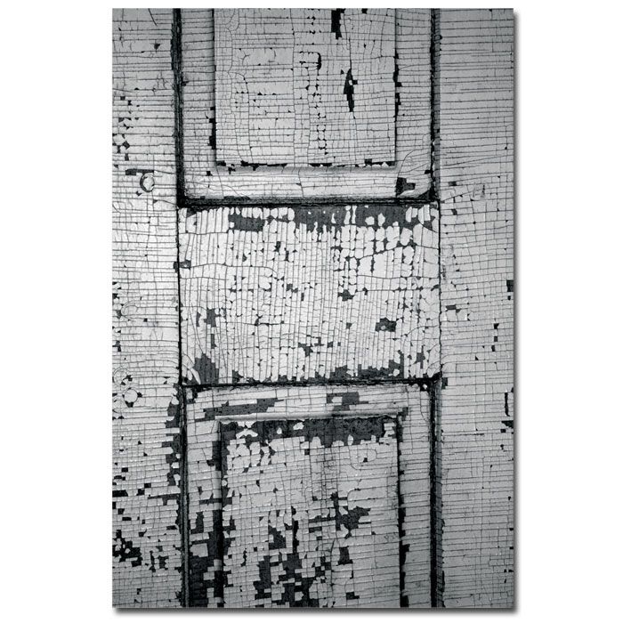 Chippy Paint by Patty Tuggle Ready To Hang Canvas 16 x 24