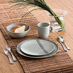 Ty Pennington Style Bamboo 16pc Dinnerware Set - Earth by Artland Trading Inc