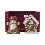 Colormate Gingerbread Salt & Pepper Set