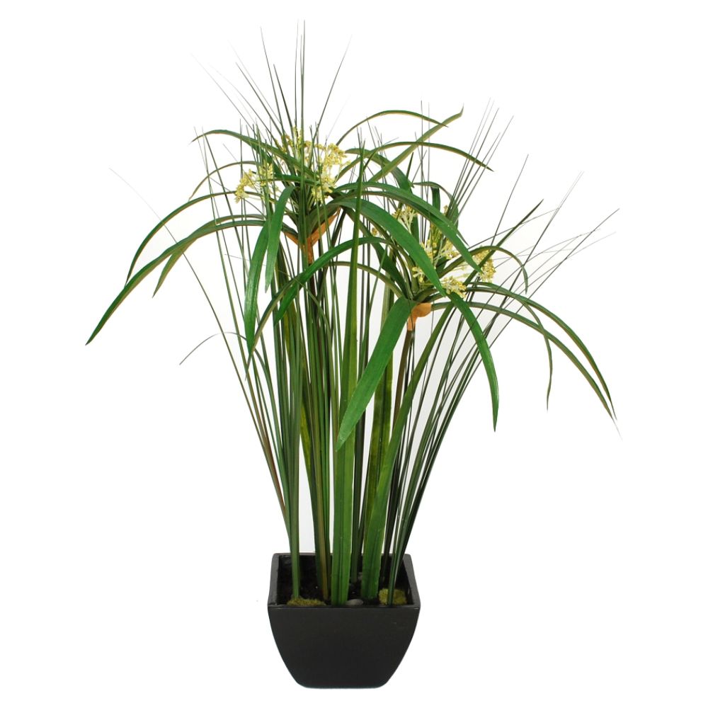 Ty Pennington Style Medium Papyrus Botanical