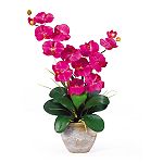 Nearly Natural Double Stem Phalaenopsis Silk Orchid Flower Arrangement