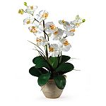 Nearly Natural Double Stem Phalaenopsis Silk Orchid Flower Arrangement