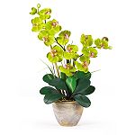 Nearly Natural Double Stem Phalaenopsis Silk Orchid Flower Arrangement
