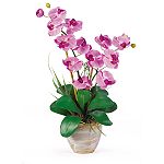 Nearly Natural Double Stem Phalaenopsis Silk Orchid Flower Arrangement