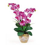 Nearly Natural Double Stem Phalaenopsis Silk Orchid Flower Arrangement