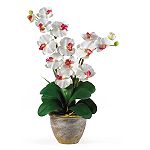 Nearly Natural Double Stem Phalaenopsis Silk Orchid Flower Arrangement