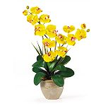 Nearly Natural Double Stem Phalaenopsis Silk Orchid Flower Arrangement