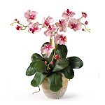 Nearly Natural Triple Mini Phalenopsis Silk Orchid Flower Arrangement