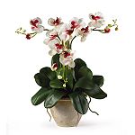 Nearly Natural Triple Mini Phalenopsis Silk Orchid Flower Arrangement