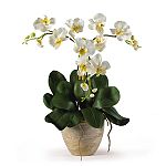 Nearly Natural Triple Mini Phalenopsis Silk Orchid Flower Arrangement