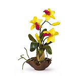 Nearly Natural Mini Cattelya Silk Orchid Flower Arrangement
