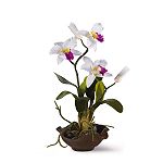 Nearly Natural Mini Cattelya Silk Orchid Flower Arrangement