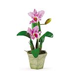 Nearly Natural Potted Cattelya Silk Orchid Flower Arrangement