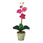 Nearly Natural Potted Phalaenopsis Silk Orchid Flower Arrangement
