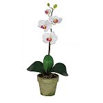 Nearly Natural Potted Phalaenopsis Silk Orchid Flower Arrangement