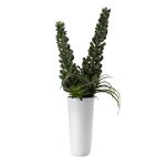 Ty Pennington Style 24 in. Succulent White Pot
