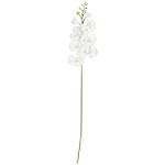 Ty Pennington Style Phalaenopsis Stem 32.5 in.