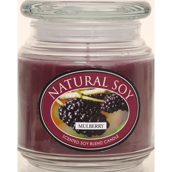 Hanna's Candles Natural Soy Scented Soy Candle Mulberry