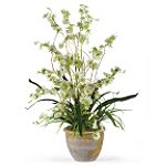 Nearly Natural Dancing Lady Silk Orchid Arrangement