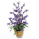 Nearly Natural Dancing Lady Silk Orchid Arrangement