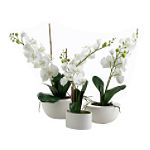 Ty Pennington Style Orchid Arrangement Pot