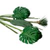 Stemmed Leaves and Bamboo Sticks