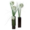 Allium and Grass Arrangements