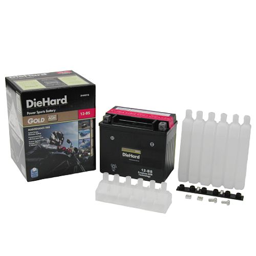 DieHard Gold PowerSport Battery 12-BS (with exchange)