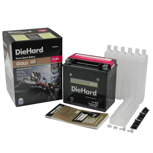 DieHard Gold PowerSport Battery 14-BS (with exchange)