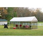 ShelterLogic 10?20 - 8 Leg 2 in 1Canopy w/ Fully Enclosed Screen Kit