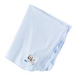 Click here to buy Carter's Blanket.