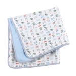 Little Wonders Newborn Boy's Blanket