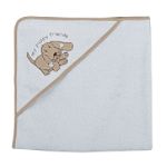 Little Wonders Newborn Boy's Hooded Towel
