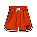 OshKosh Toddler Boy's Mesh Active Short