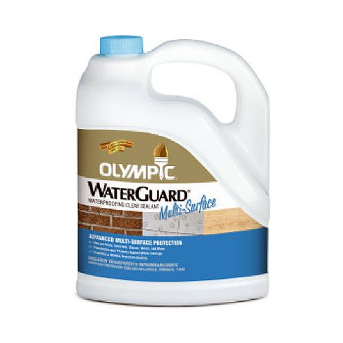 Olympic WaterGuard Waterproofing Multi-Surface Sealant  Clear - 1 gal. - 55548A/01 Best Price