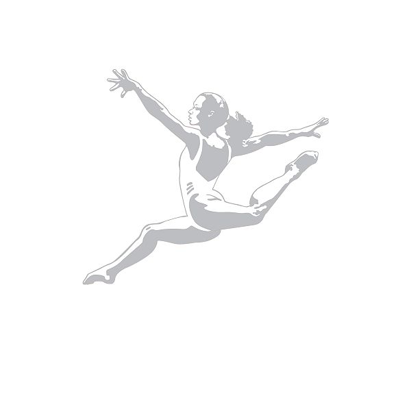 Sudden Shadows Wall Graphic - Gymnast - 01952