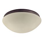 Hunter Fan Co Outdoor Light Kit - Bronze
