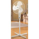 Essential Home 16 in. Oscillating Fan