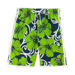 GNX Boy's 4-7 Hibiscus Swimtrunks