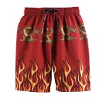 Dino Pack Boy's 4-7 Border Flame T-Rex Swim Trunks