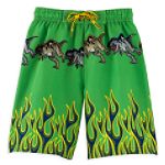Dino Pack Boy's 4-7 Border Flame T-Rex Swim Trunks