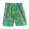 Juvi Boy Dino Print Swim Trunks