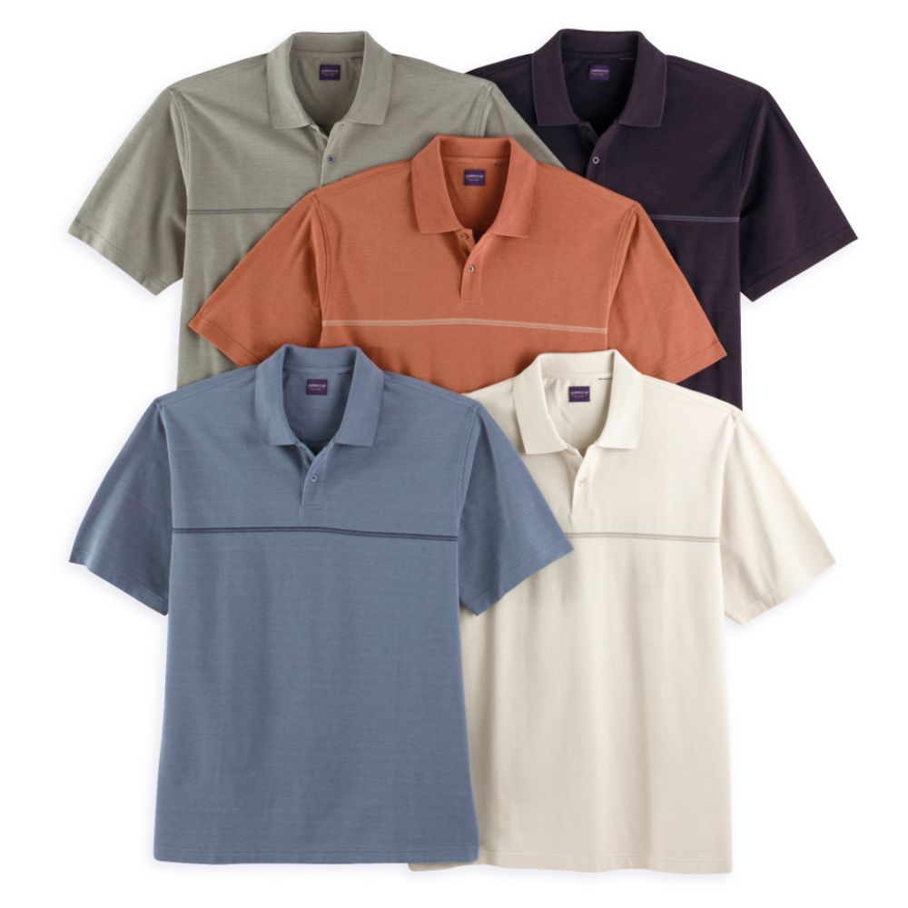 Arrow Short Sleeve Silk Wash Polo