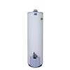 Gas Water Heater