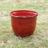 14 in. Red Glazed Pot