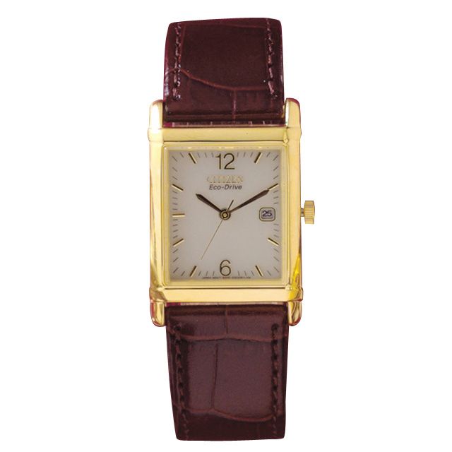 Citizen Ladies Eco-Drive Strap Watch