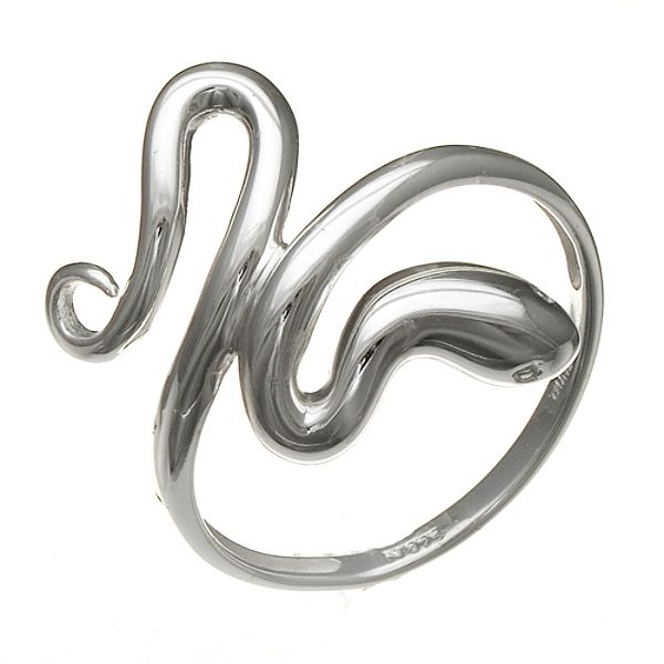 Silver Earth Snake Ring in Sterling Silver
